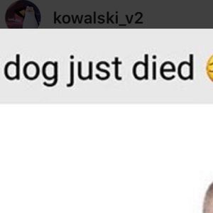 Meet your Posher, Dominic